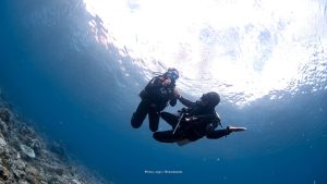 Enjoy Diving