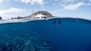 4D3N Private Sailing Komodo