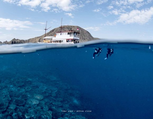 4D3N Private Sailing Komodo
